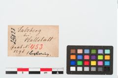 Etiketten zu Bernsteinringperle (NHMW-PRAE-025023)
